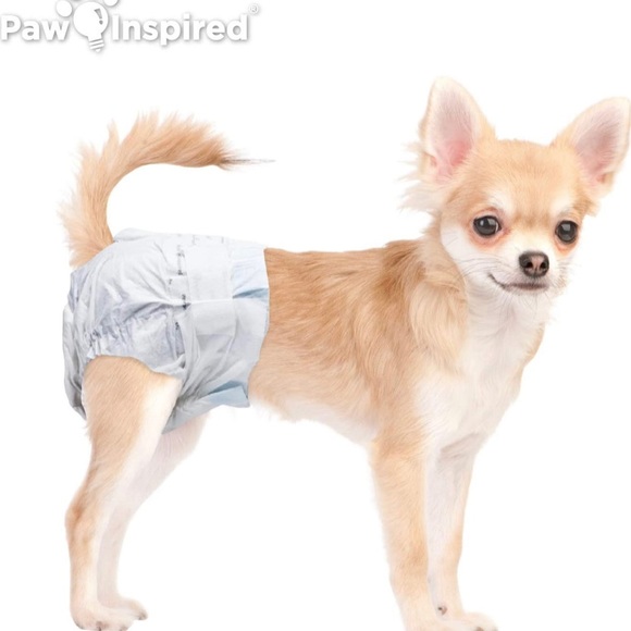 Paw Inspired Disposable Female Dog Diapers, Size Extra Small. - Picture 4 of 5